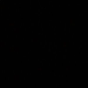 Meet your Posher, Abella